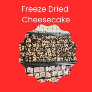 Freeze-Dried Cheesecake