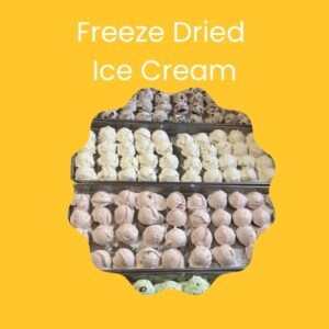 Freeze Dried Ice Cream
