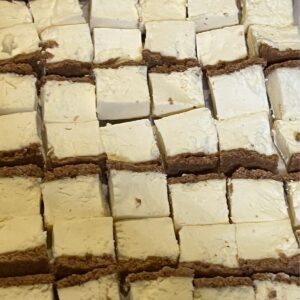 freeze-dried new york cheesecake