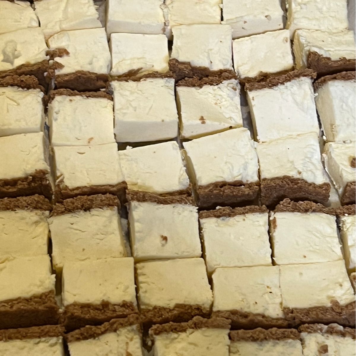 freeze-dried new york cheesecake