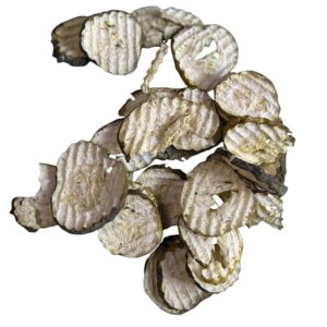 freeze-dried extreme pickles