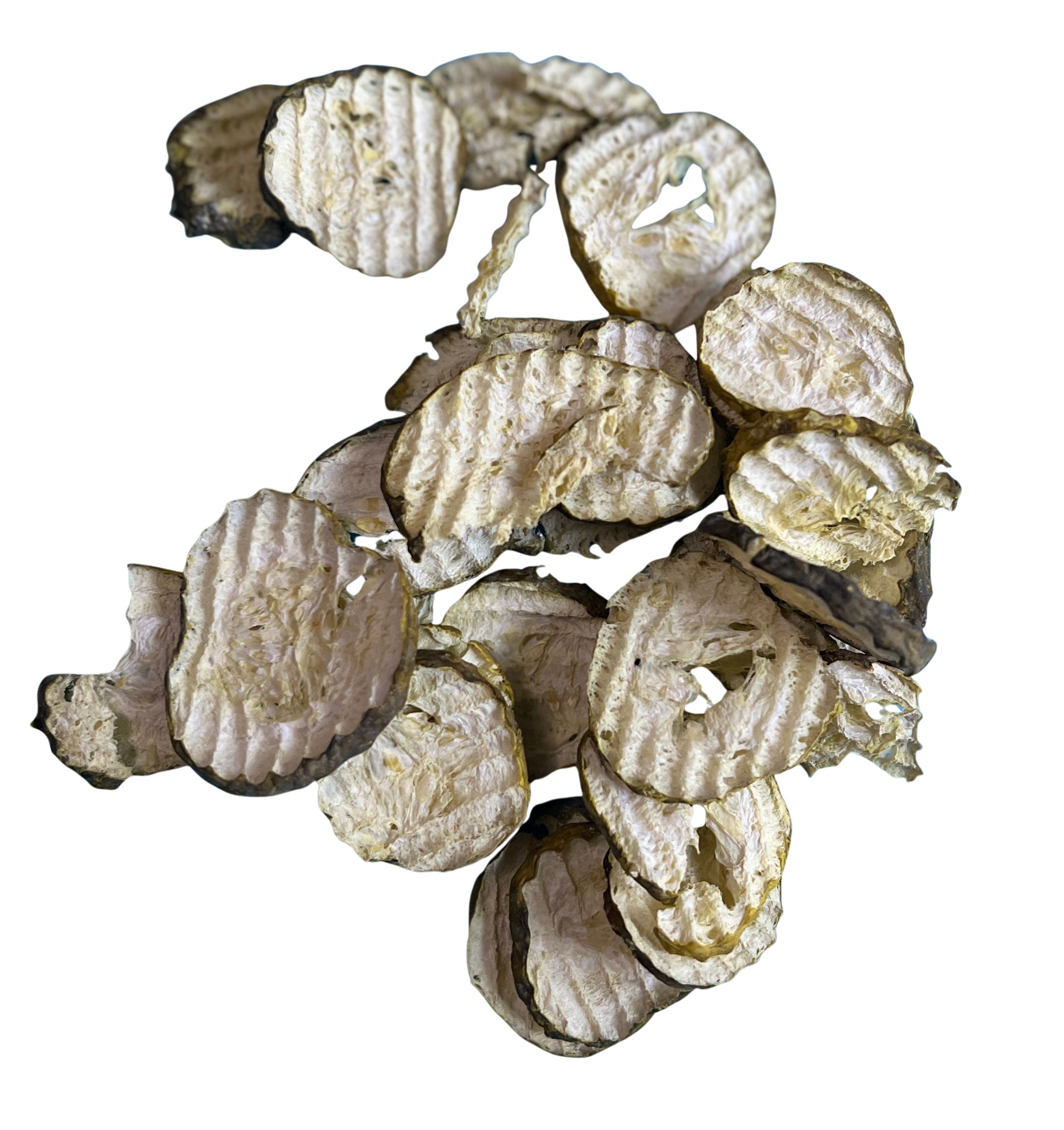 freeze-dried extreme pickles