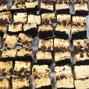 freeze-dried turtle cheesecake