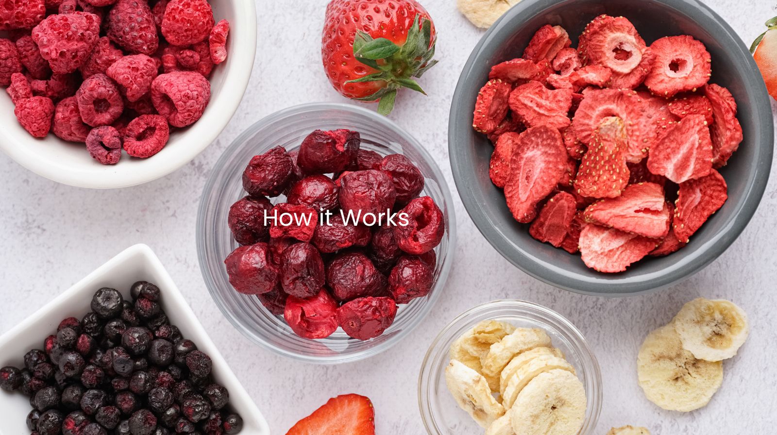 how freeze drying works