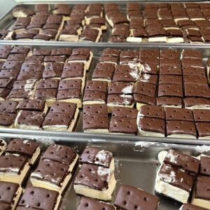 freeze dried ice cream sandwich
