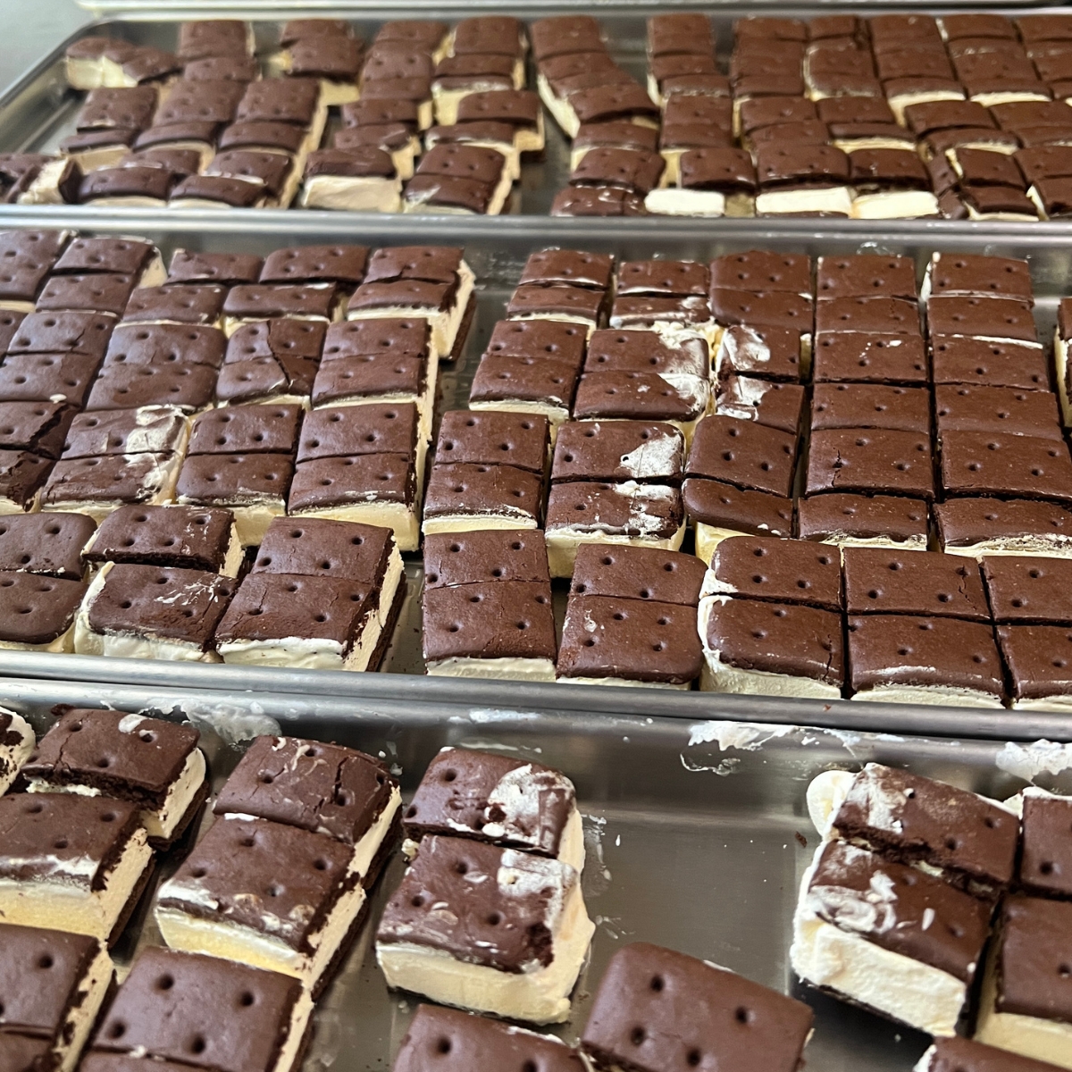 freeze dried ice cream sandwich