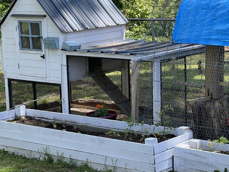 garden planning family needs