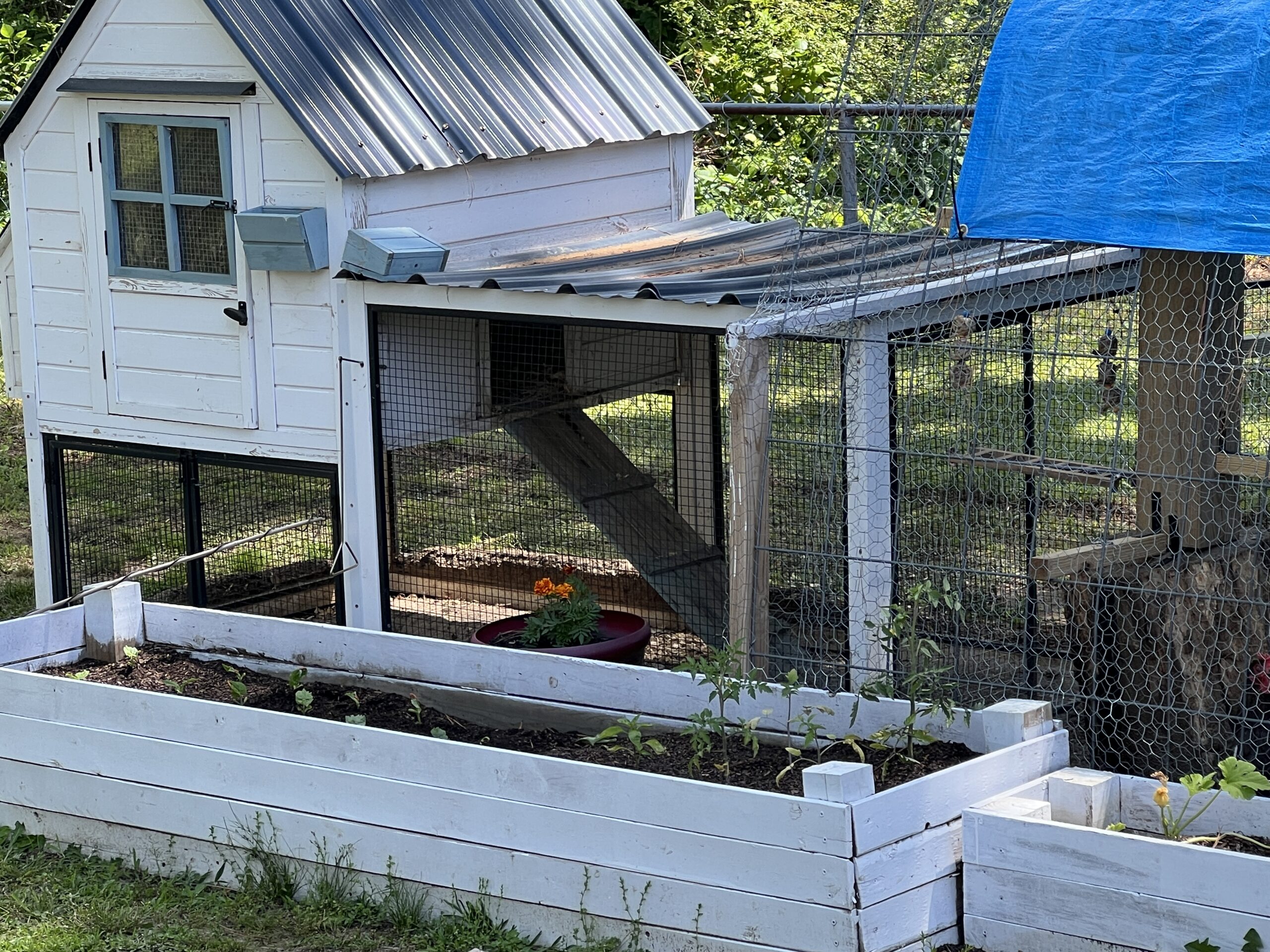 garden planning family needs
