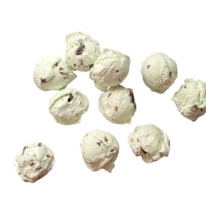 freeze dried mint chocolate chip ice cream