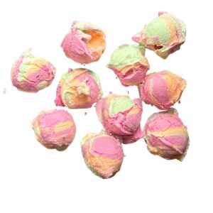 freeze dried rainbow sherbet