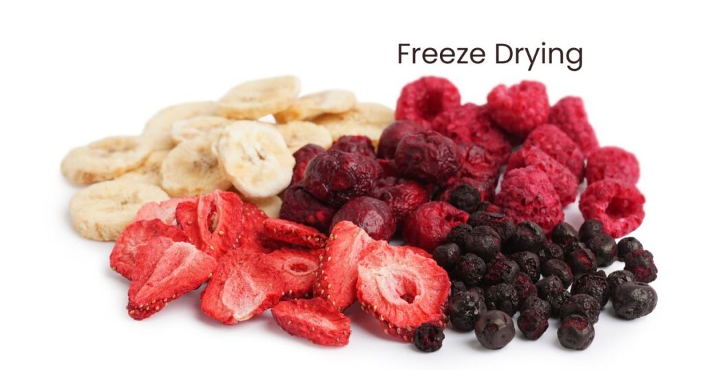 freeze dried fruit
